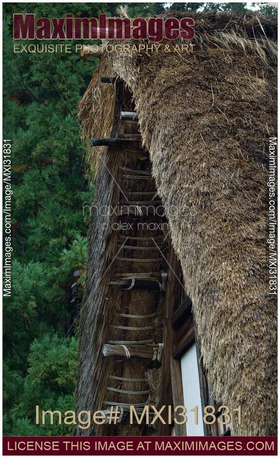 Historic Japanese Gassho style rural house thatched roof architectural details