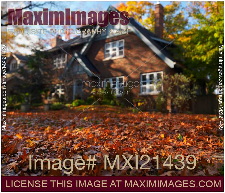 House in Fall
