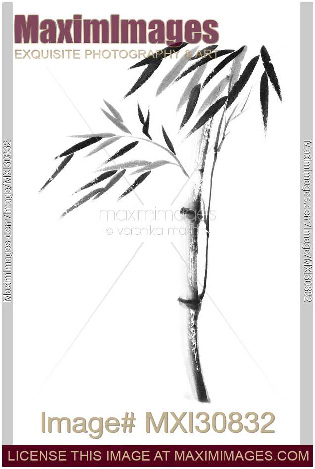Illustration of a bamboo stalk with leaves in black and white Japanese Zen Sumi-e artwork