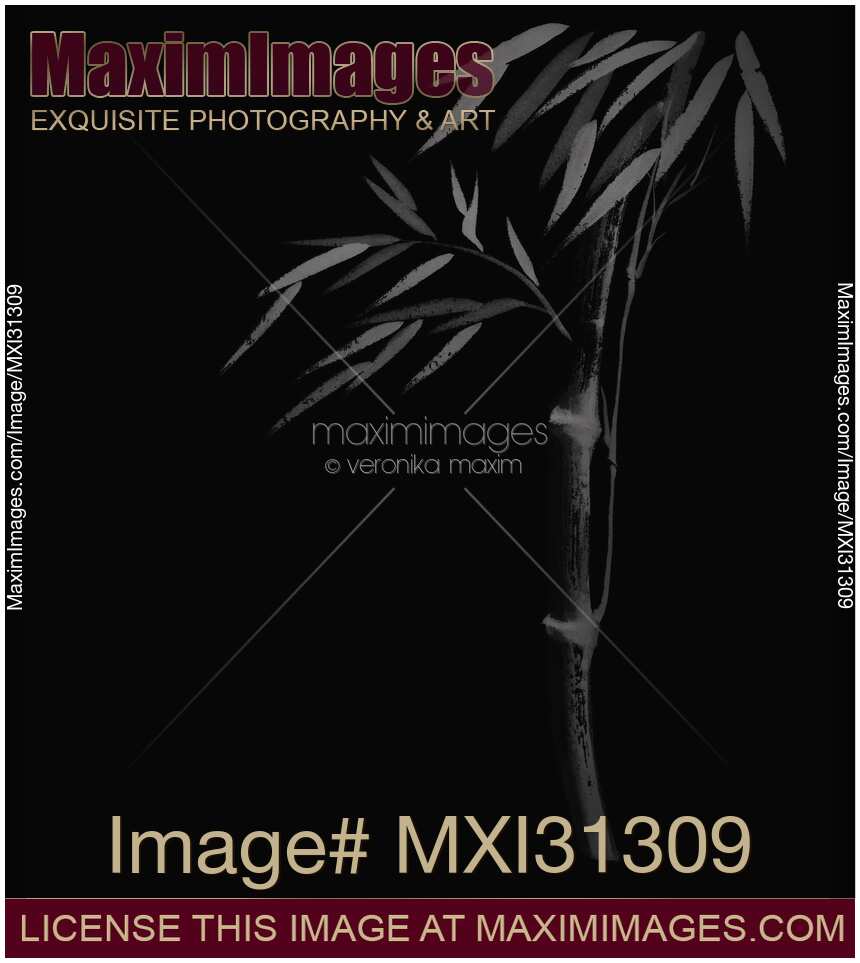 Illustration of a bamboo stalk with leaves Japanese Zen art in black and grey colors