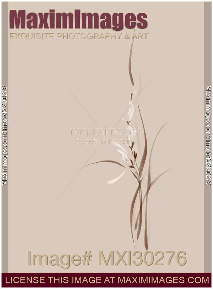 Intricate orchid flowers artistic floral design on beige background