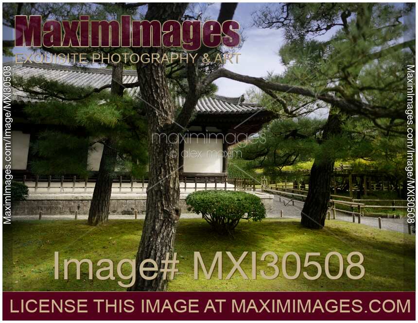 Japanese garden with black pines in front of a historic building Kannon-do Byodoin in Japan