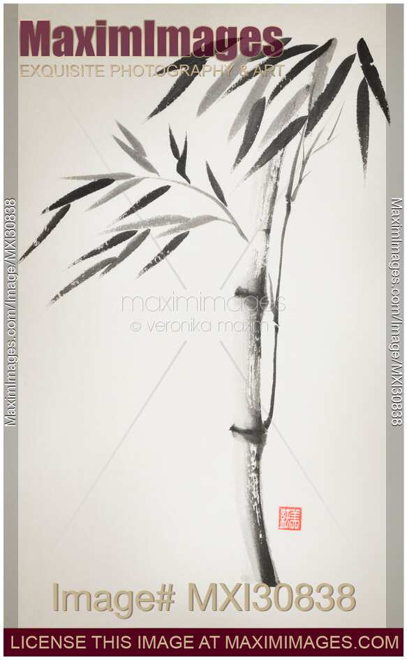 Japanese Zen painting of Bamboo stalk with leaves black ink on vintage rice paper