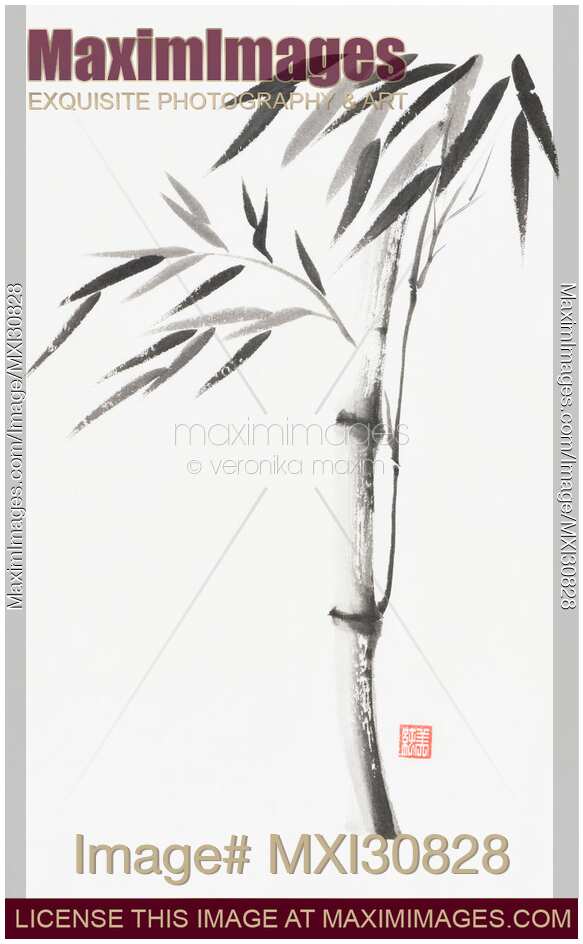 Japanese Zen painting of Bamboo stalk with leaves black ink on white rice paper