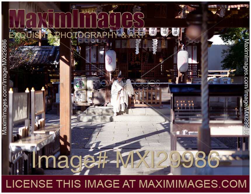 Kannushi priest at Yasui Konpiragu Shinto Shrine in Kyoto Japan