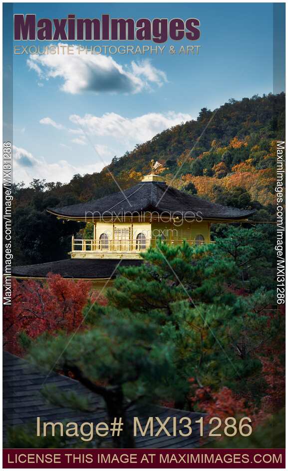 Kinkaku-ji Golden Pavilion roof in a beautiful autumn nature scenery