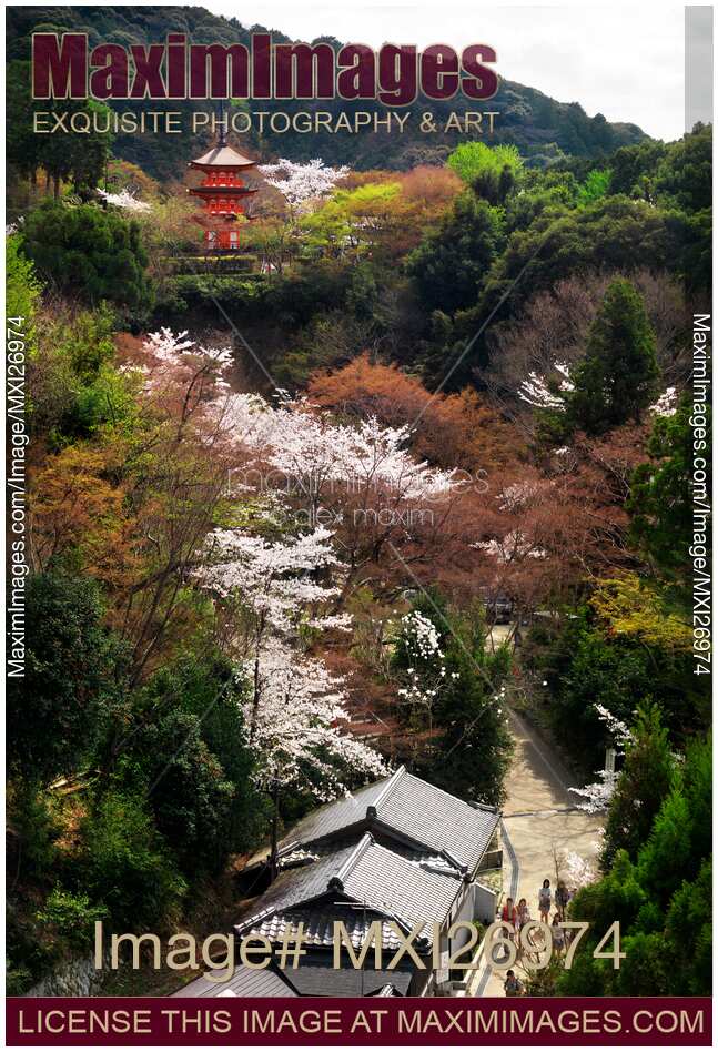 Kiyomizu-dera Buddhist temple pagoda in Kyoto Japan
