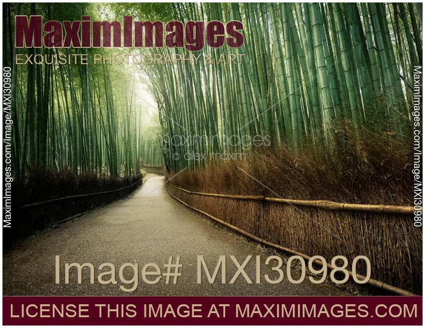 Kyoto Arashiyama bamboo forest path beautiful dreamy scenery