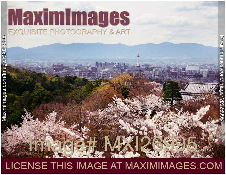 Kyoto tower and city skyline during cherry blossom