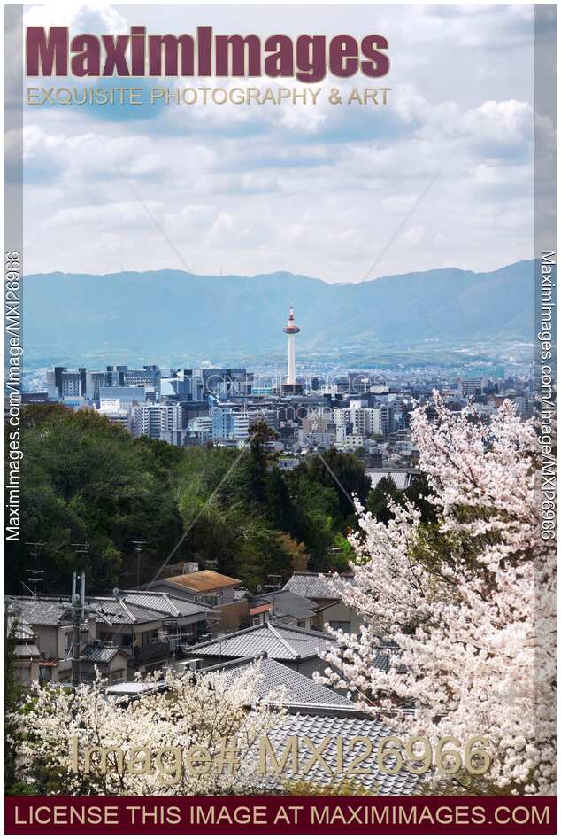 Kyoto tower during cherry blossom