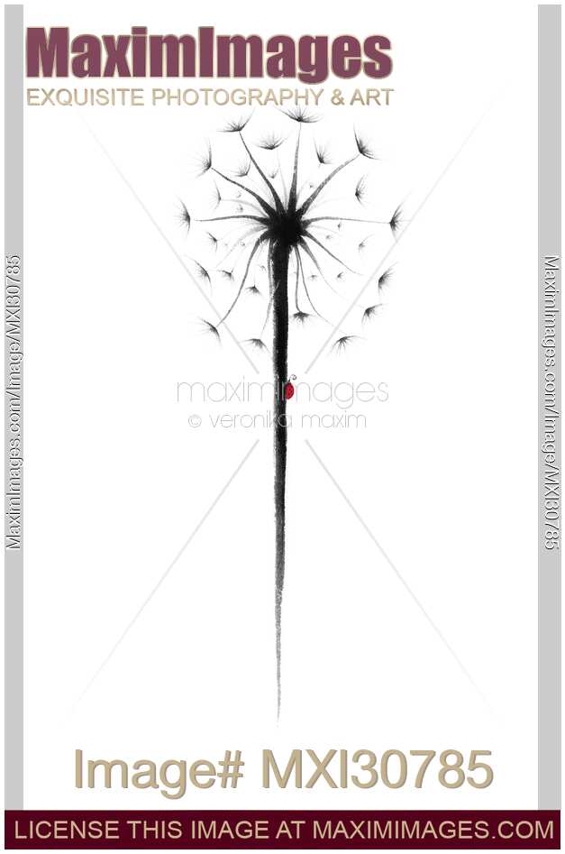 Ladybug on a dandelion abstract Zen painting illustration design