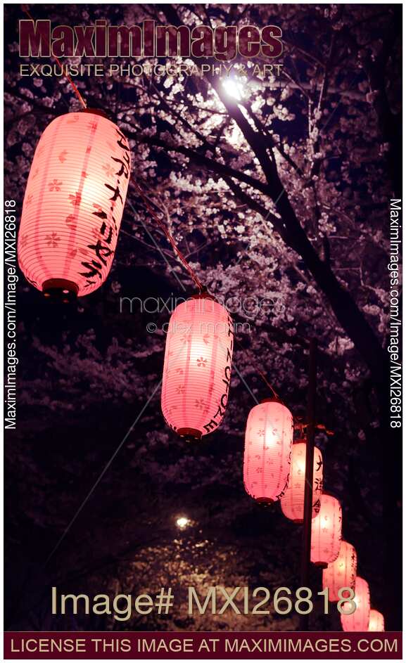 Lanterns at night Nakano station Tokyo