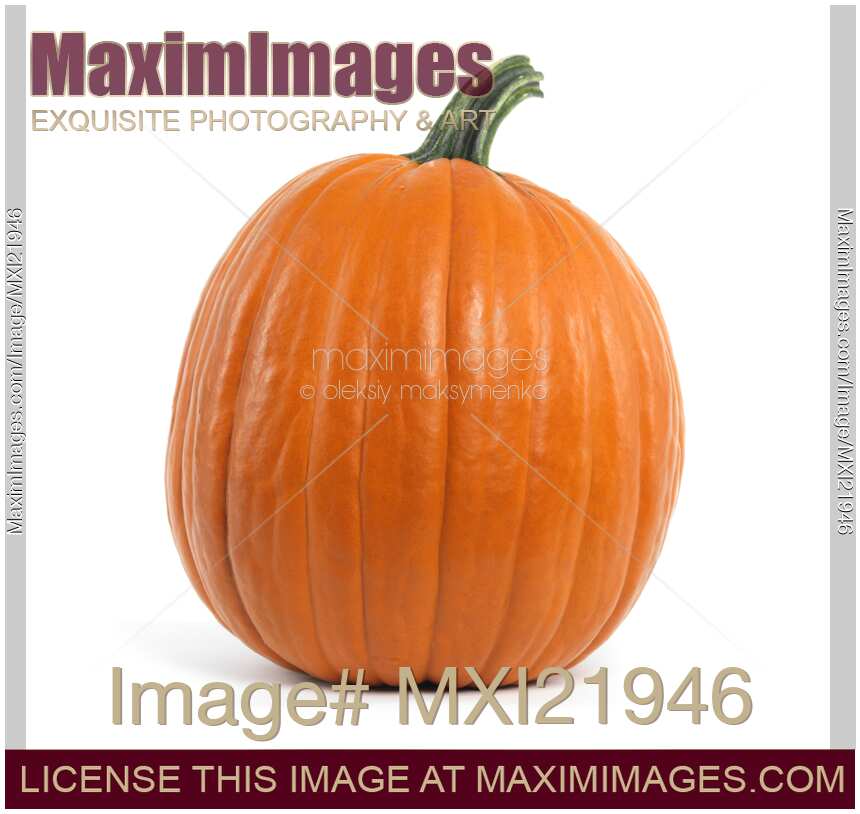Large Pumpkin