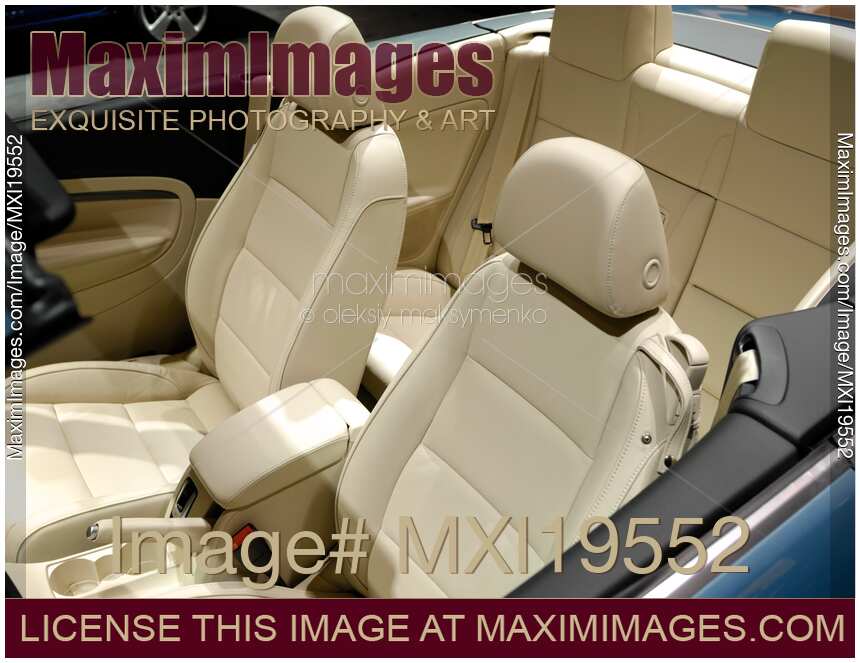 Leather Car Interior