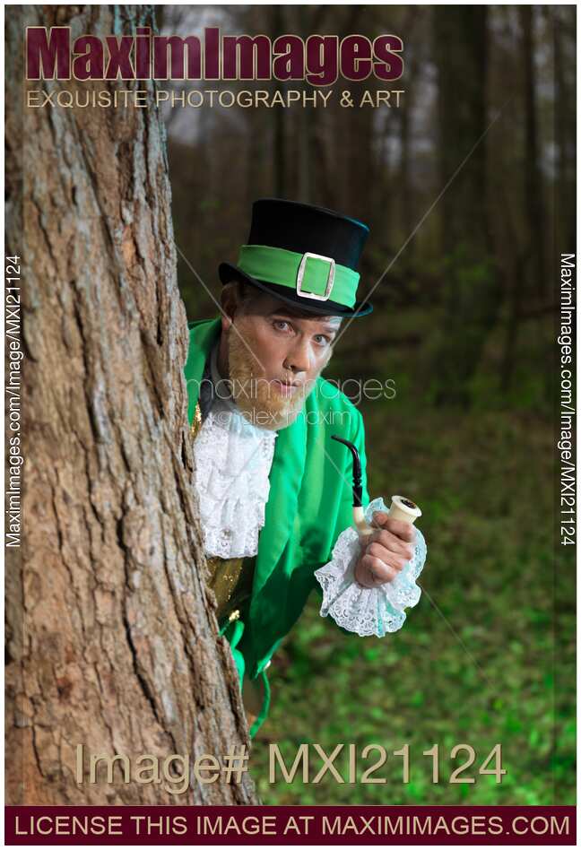 Leprechaun Hiding in a Forest