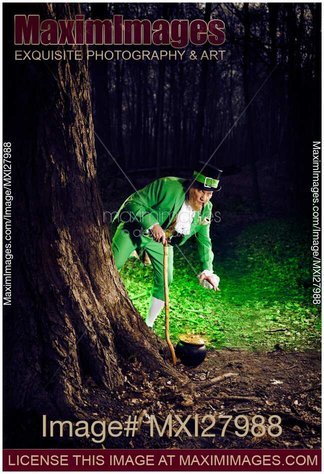 Leprechaun with a pot of gold in a forest