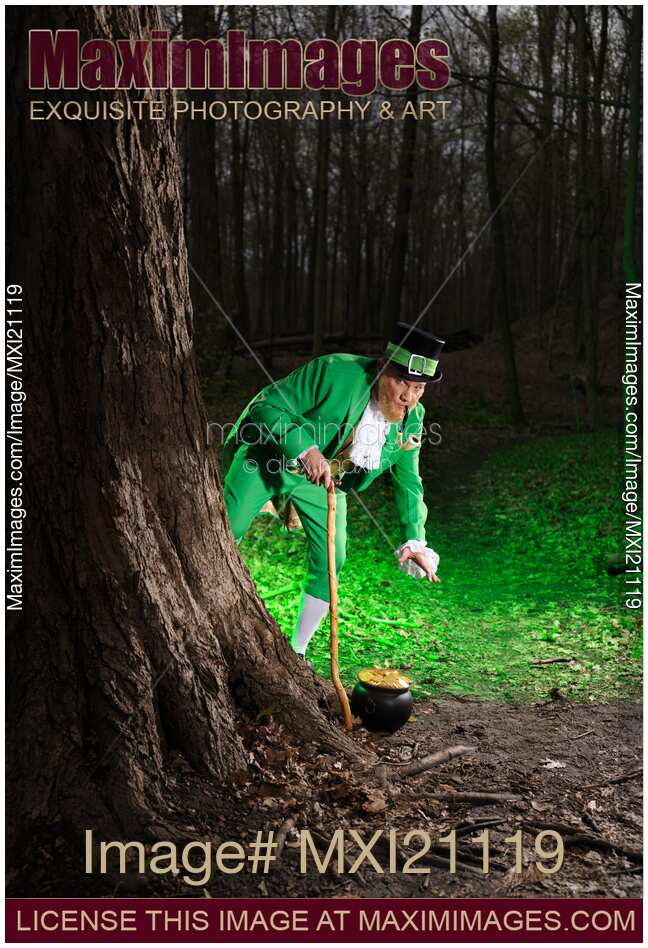 Leprechaun with Pot of Gold