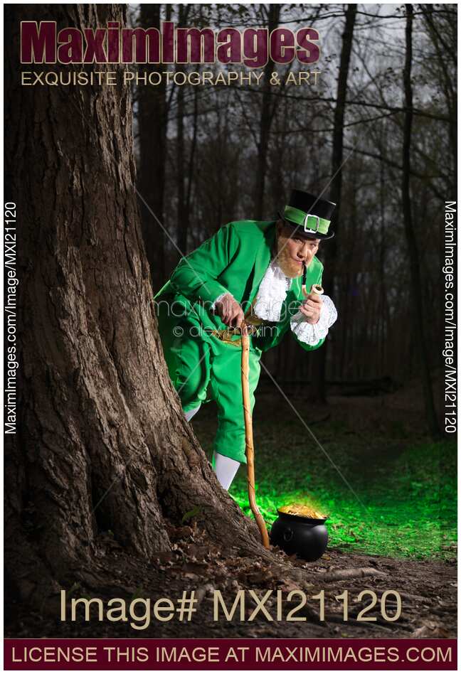 Leprechaun with Pot of Gold