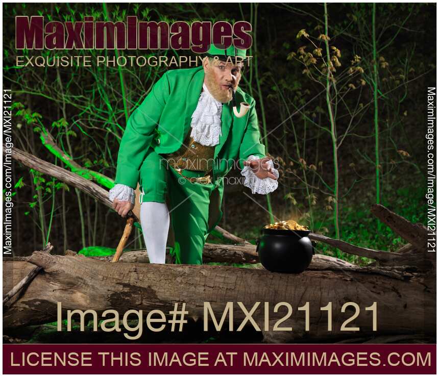 Leprechaun with Pot of Gold