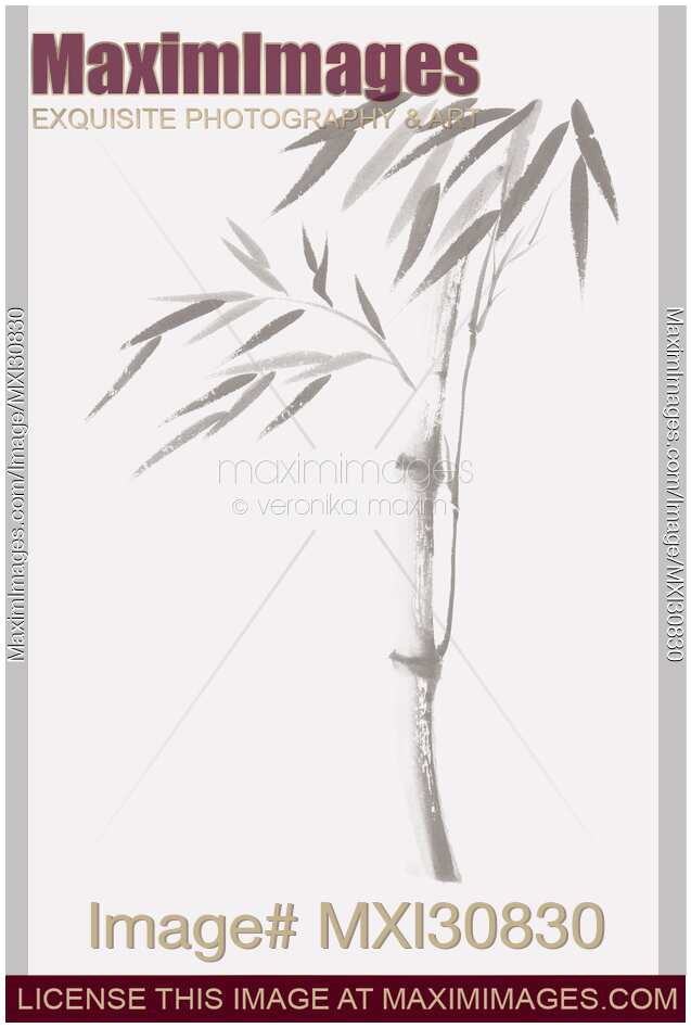 Light gray illustration of a bamboo stalk with leaves Japanese Zen Sumi-e artwork