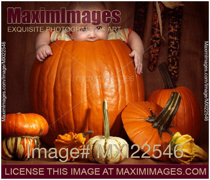 Little Baby Boy Sitting Inside a Large Pumpkin