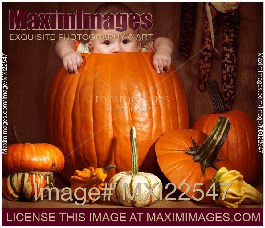 Little Baby Boy Sitting Inside a Large Pumpkin