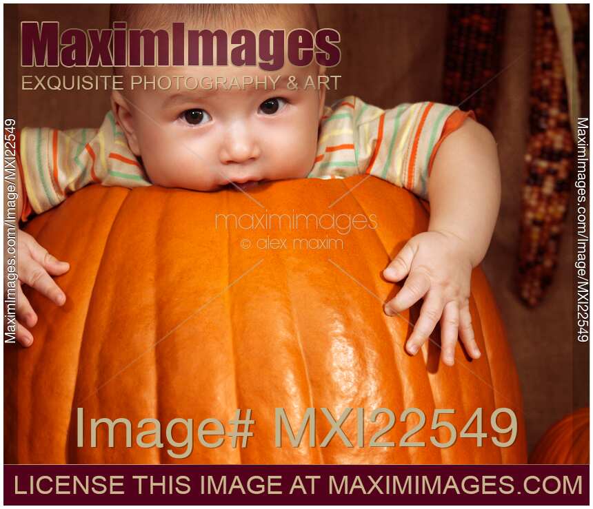 Little Baby Boy Sitting Inside a Large Pumpkin