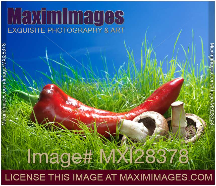 Long Red Sweet Pepper and Mushrooms