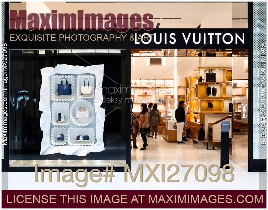 Louis Vuitton handbag store