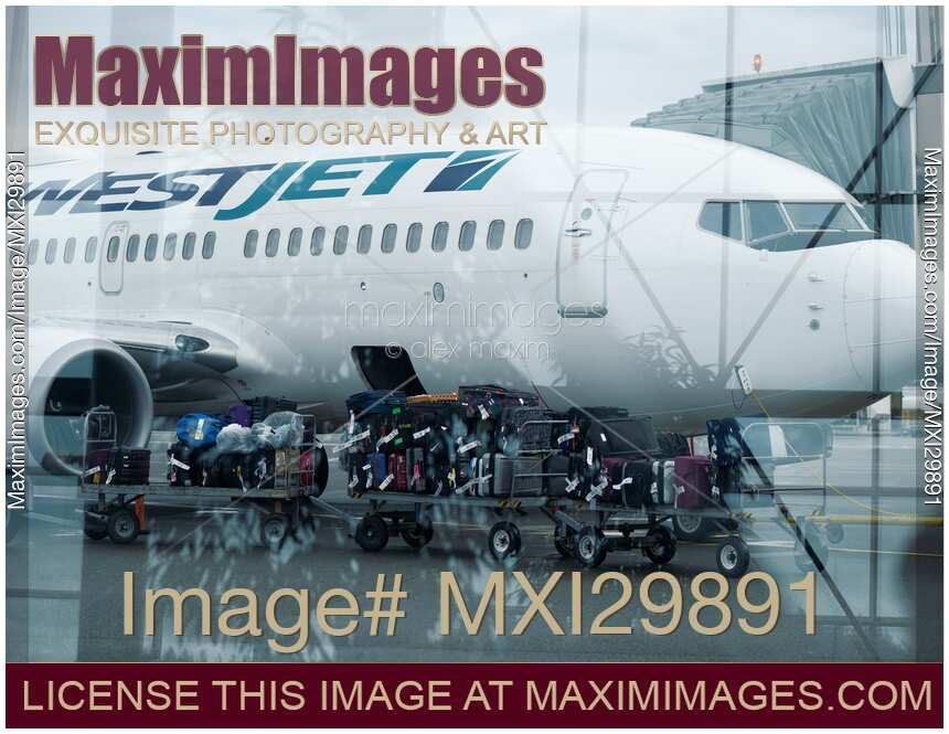 Luggage carrier train by WestJet airplane at an airport