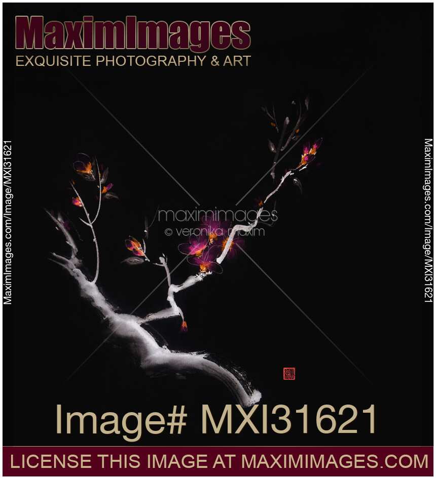 Magical black sumi-e design of a sakura branch with glowing bright violet flowers