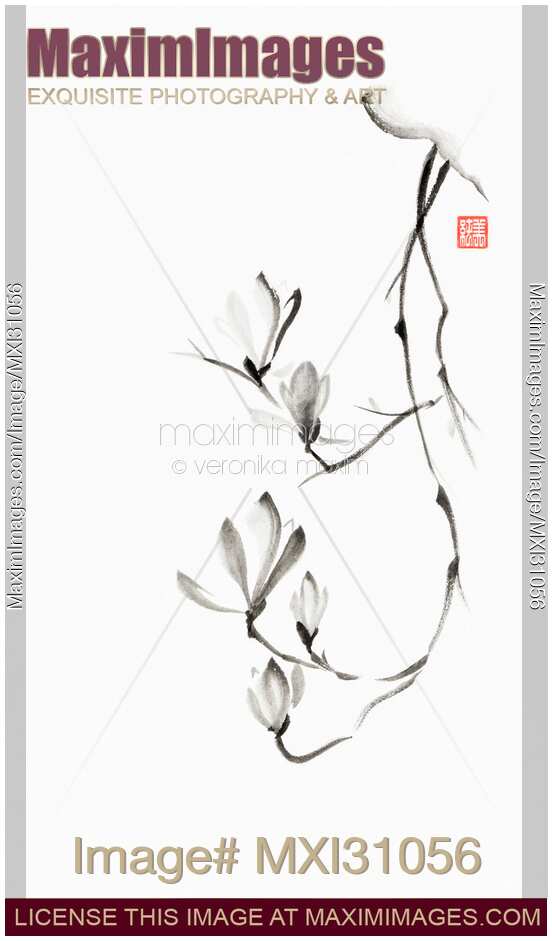Magnolia branch black and white Japanese Zen Sumi-e painting on white rice paper