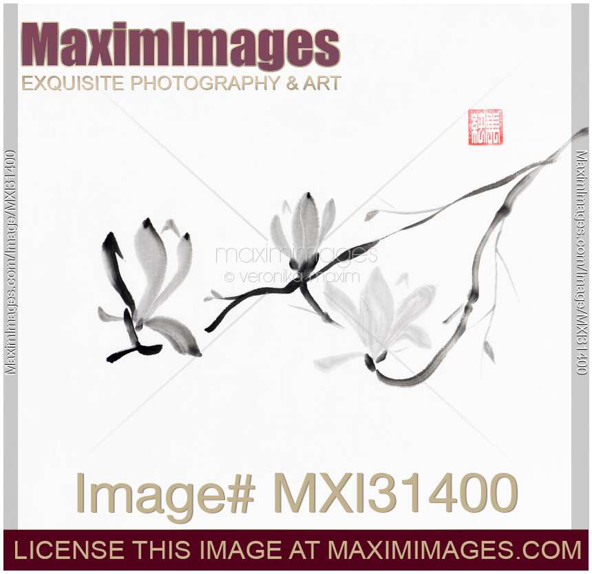 Magnolia branch with three flowers elegant Japanese Zen Sumi-e painting on white