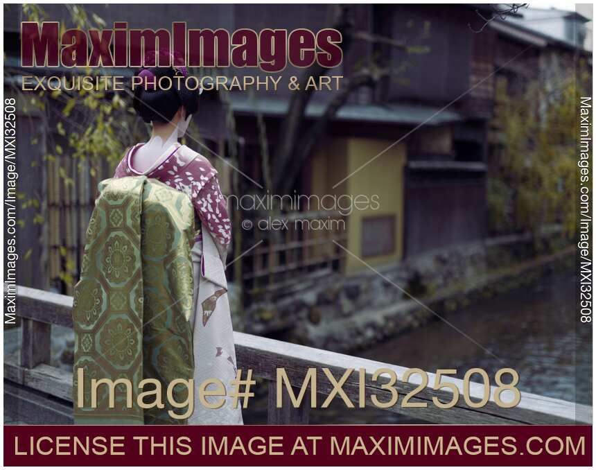 Maiko Japanese young woman Geiko apprentice in a purple kimono with long obi looking at the river
