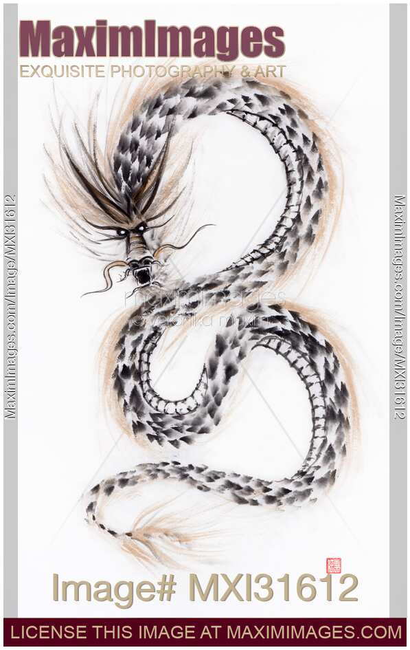 Majestic asian dragon coiling in the aire sumi-e black and gold ink painting on white
