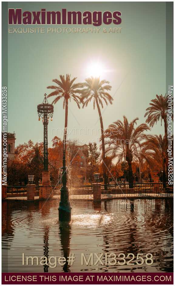 Maria Luisa Park palm trees by the fountain in Seville Spain