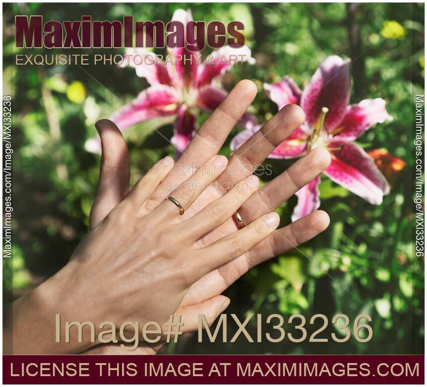 Married couple hands with golden wedding rings. Woman's hand inside man's palm.