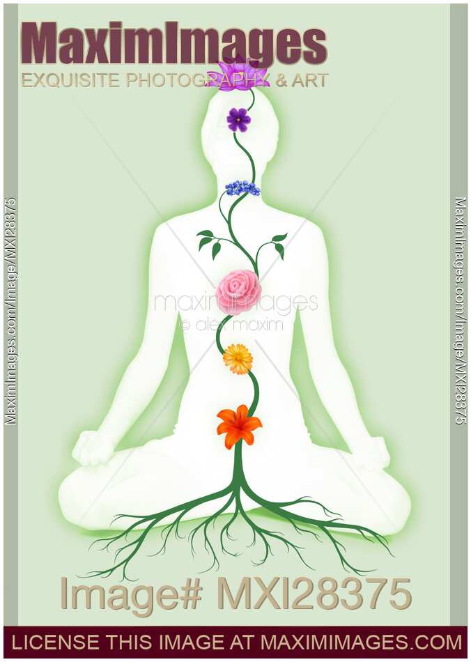 Meditating Woman with Chakra Flowers Growing from Root. Yoga, Reiki, holistic wellness.
