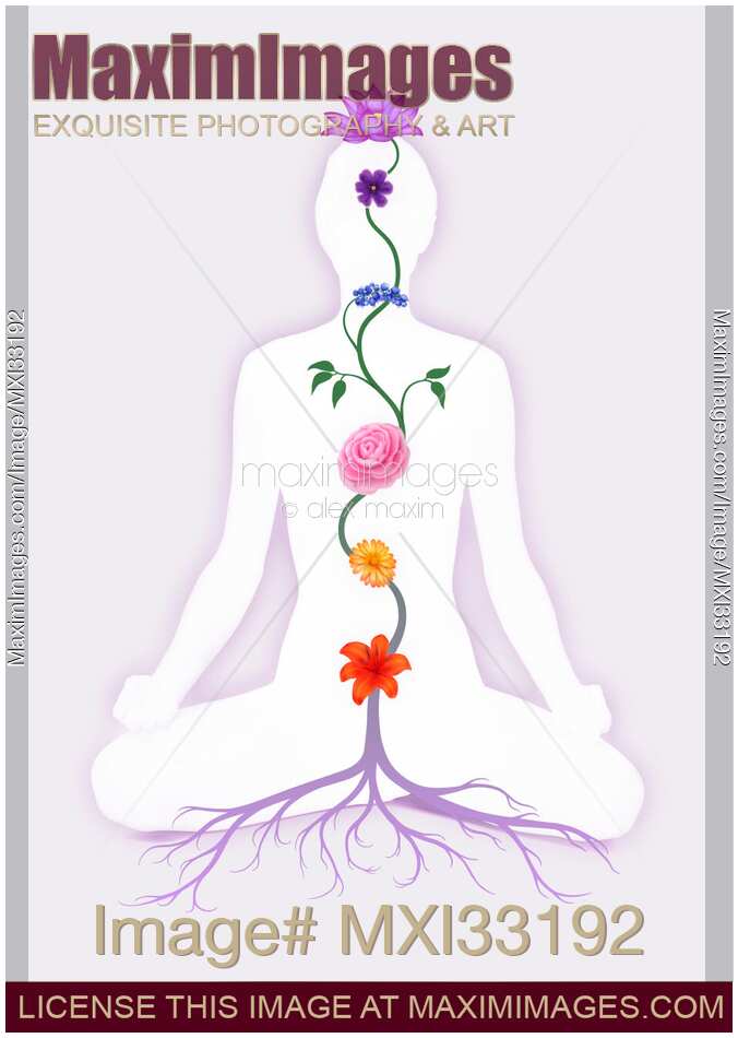 Meditating Woman with Chakra Flowers over her body growing from root in purple colors