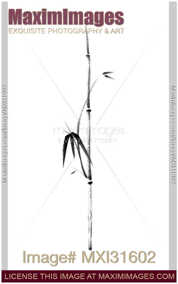 Minimalistic bamboo branch with leaves sumi-e style illustration black and white