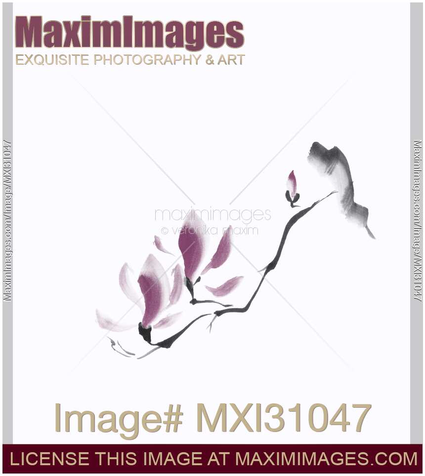 Minimalistic elegant magnolia branch Japanese Zen illustration on white background