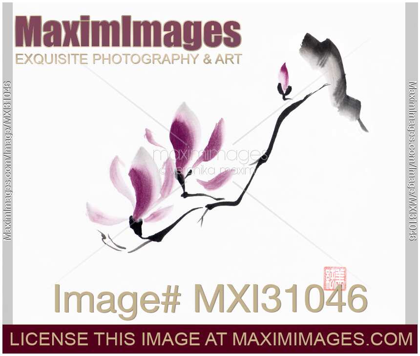Minimalistic elegant magnolia branch Japanese Zen Sumi-e painting on white rice paper