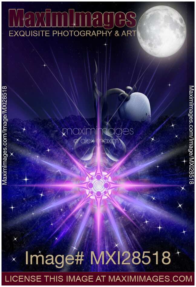 Moon bloom of a flower rising from the soil artistic illustration