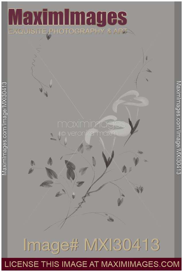 Morning Glory flowers Sumi-e illustration artistic design on light gray background