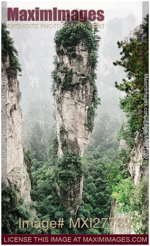 Mountain spire with trees on top of it in Zhangjiajie National Park China