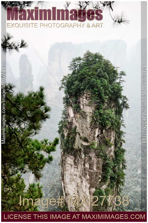 Mountains of Zhangjiajie National Forest Park in fog