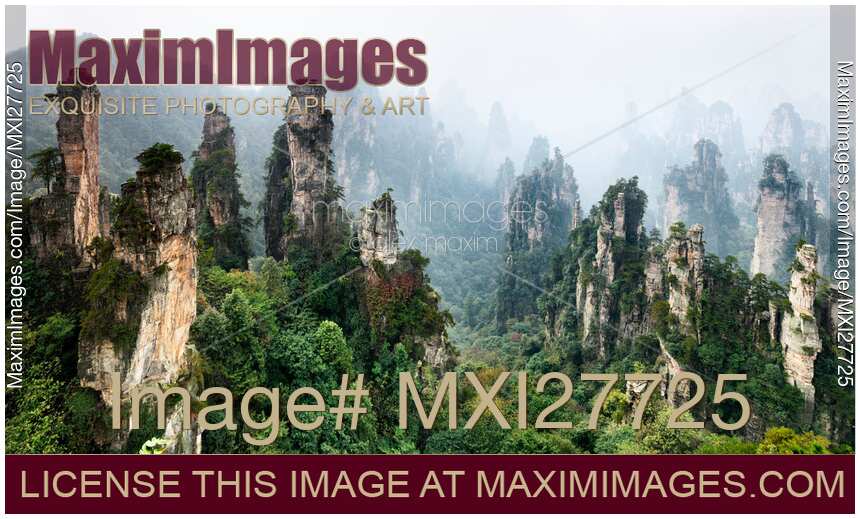 Mountains Zhangjiajie National Forest Park panoramic scenery