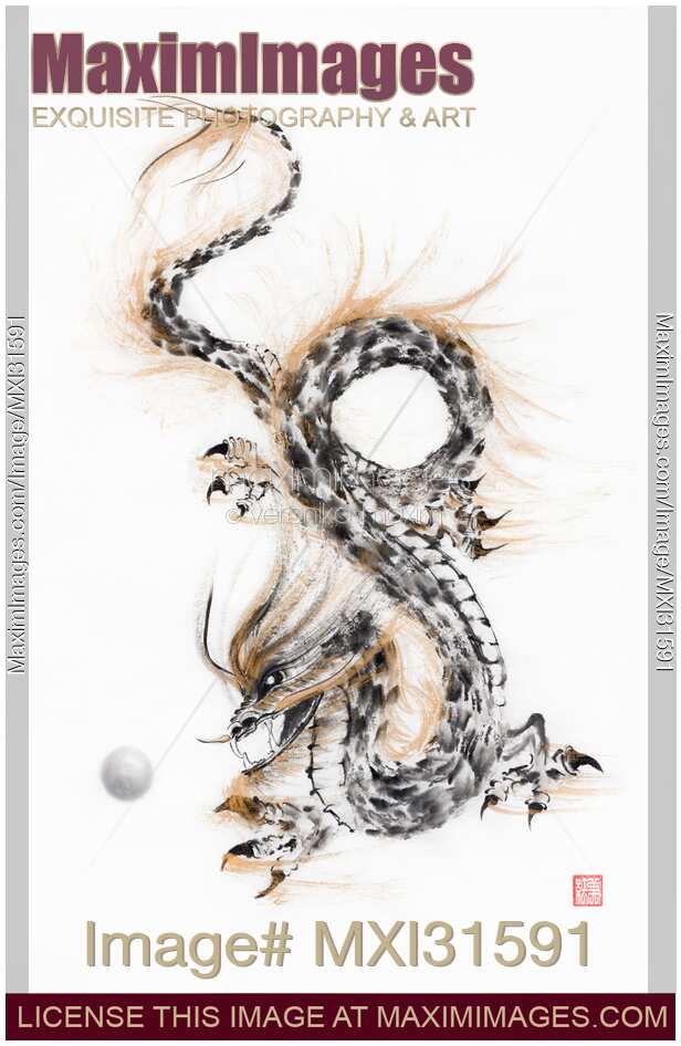 Mystical Taoist dragon coiled playing with his Pearl of Wisdom sumi-e ink painting