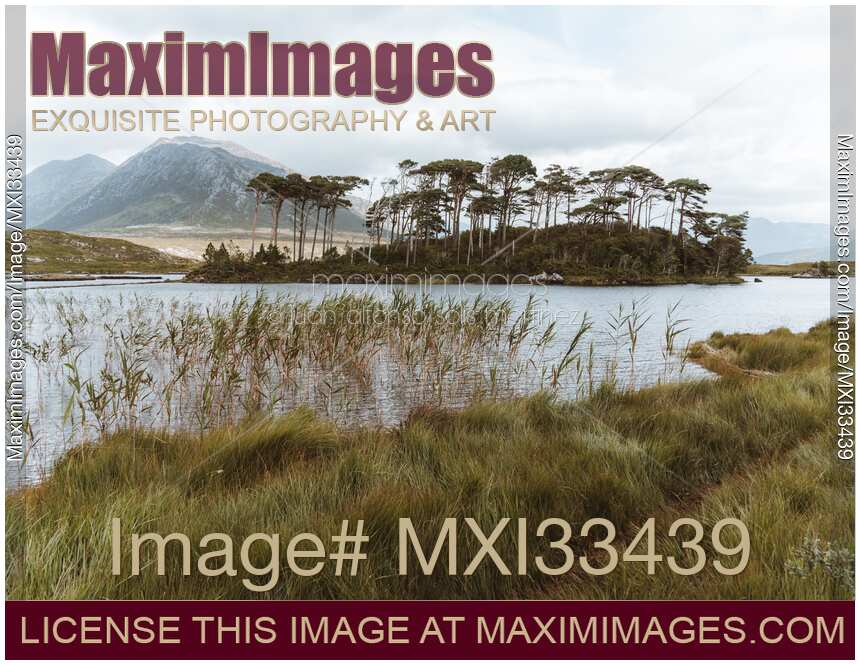 Nature scenery of Derryclare Lough lake at Connemara Park in Ireland