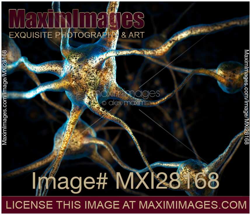 Neuron Brain cell 3D illustration